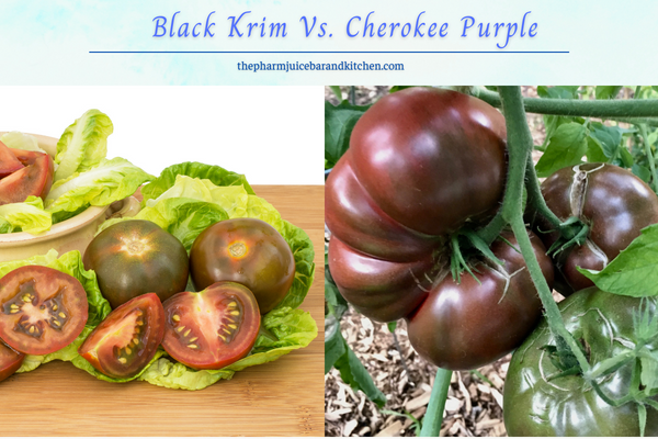 Black Krim Vs Cherokee Purple